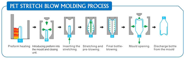 домашнее животное дует