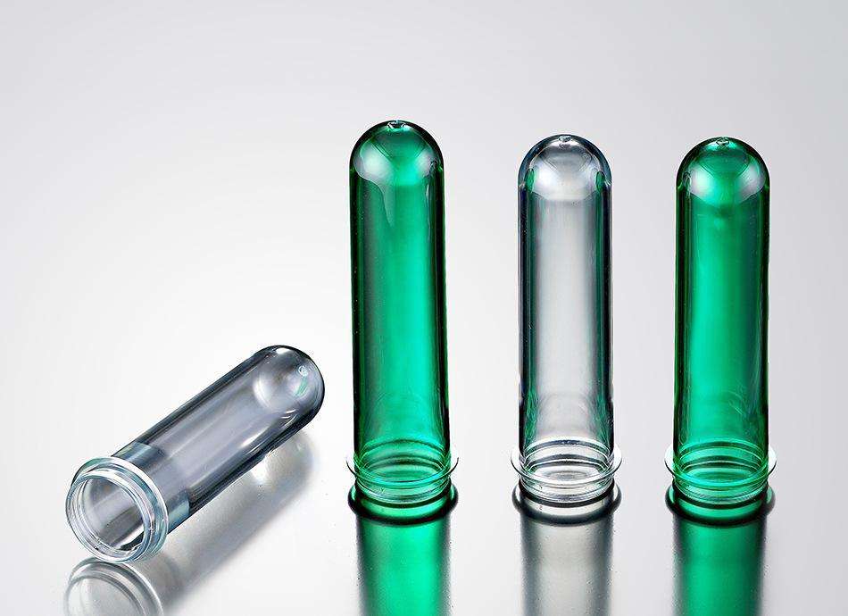 домашнее животное выступление